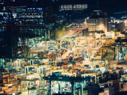 How Industrial Organization Shapes the Competitive Pulse of Modern Markets