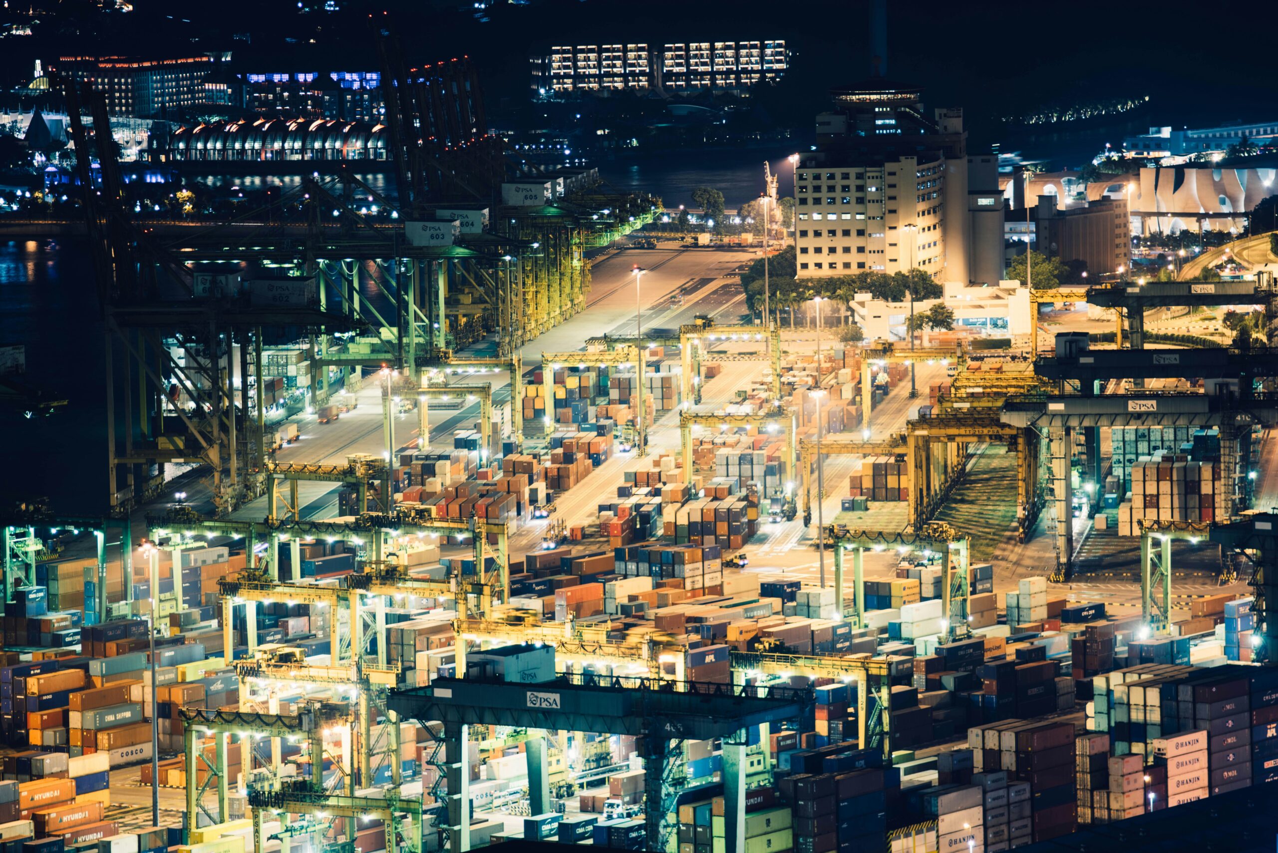 How Industrial Organization Shapes the Competitive Pulse of Modern Markets