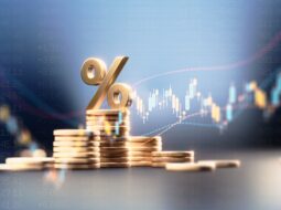 How Credit Ratings Impact Borrowing and Financial Health